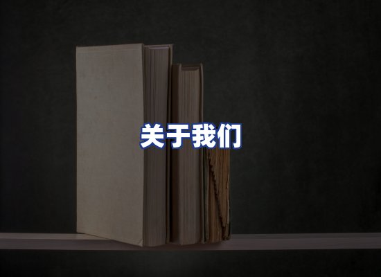 专业团队